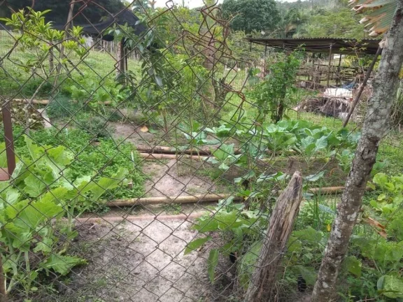 Imagem Sítio para Venda por R$600.000,00 com 3 dormitórios na casa sede, 2 casas e 2 cozinhas - Padre andre , Jacupiranga / SP - Cód. BDI28102