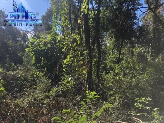 Imagem TERRENO 500 m² DENTRO DE CONDOMÍNIO FECHADO.

Área com 20 metros de frente, e com vegetação sec...