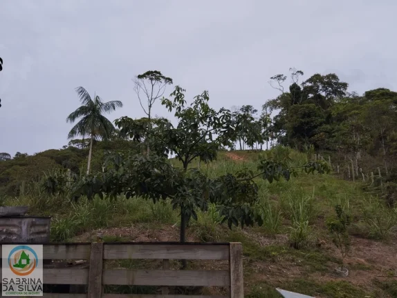 Imagem Sítio - Belchior Baixo - Gaspar
