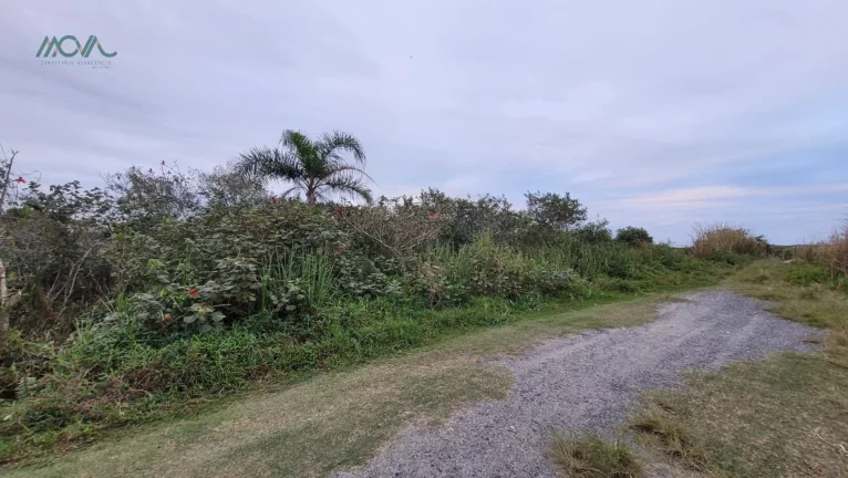 Imagem Dois Terrenos juntos - Beira mar - Com laudo ambiental permitindo construção