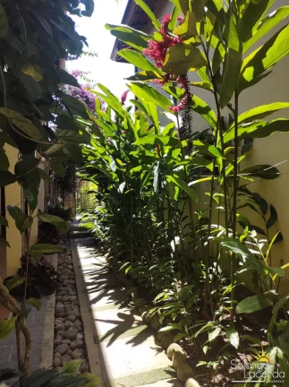 Imagem Amplo Apartamento - Permite Financiamento - Piscina e Paisagismo no Condomínio.