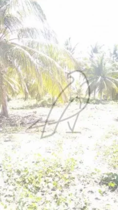 Imagem Terreno para Venda em Conde / BA no bairro Sítio do Conde - Conde-Ba