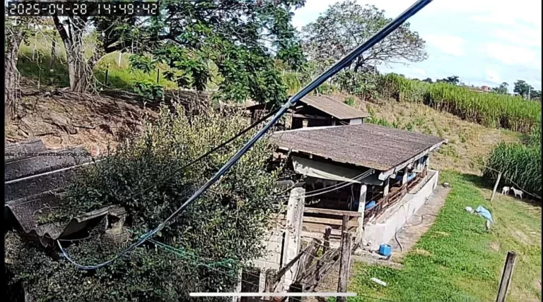 Imagem Chácara para Venda em São Pedro, --------------, 1 dormitório, 1 banheiro, 10 vagas