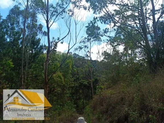 Imagem Vendo área rural com 20 mil mts², boa topografia com nascente.