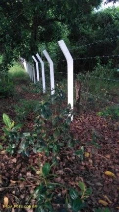 Imagem Terreno Comercial para Venda em DUQUE DE CAXIAS, Capivari