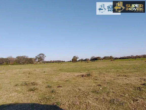 Imagem Fazenda Pecuária de excelência para Venda em Cristal-RS