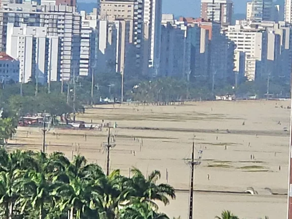 Imagem Apartamento 1 Quarto, 1 Vaga - José Menino - Santos - SP