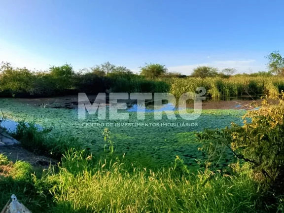 Imagem Fazenda de com 20 hectares produzindo e com Infraestrutura, CASA NOVA - BA