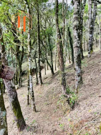 Imagem Chácara para Venda em São José dos Pinhais, Contenda