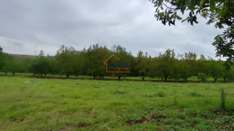 Imagem Sítio à venda no bairro PITEIRAS - Mogi Mirim/SP