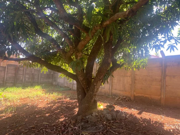 Imagem TERRENO PLANO DE 360M² ,EM JUATUBA!
