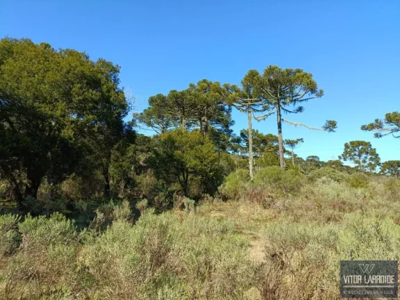 Imagem Fazenda de 34 hectares - São Joaquim/SC, Serra Catarinense