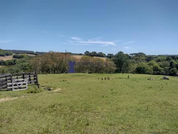 Imagem CHÁCARA COM 143.897M² NA REGIÃO DE BALSA NOVA