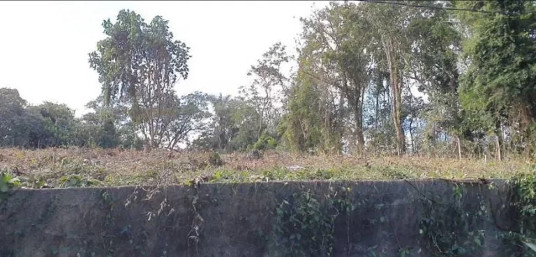 Imagem Terreno à venda, 3.203 m² por R$ 700.000 - GRANJA VIANA – PARQUE PRIMAVERA