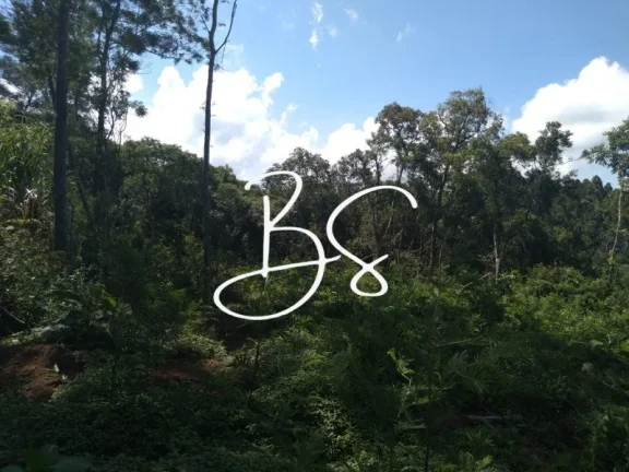 Imagem SITIO RURAL em IGREJINHA - RS, Serra Grande