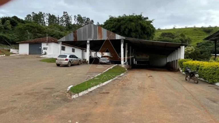 Imagem Fazenda - Oliveira - Zona Rural