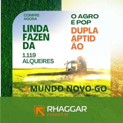 Oportunidade Única: Fazenda Espetacular à Venda! Mundo Novo GO.