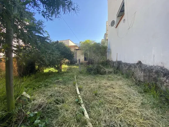 Imagem Oportunidade para Investidores – Terreno com Excelente Potencial no Bairro Monsenhor Mário Quintão!