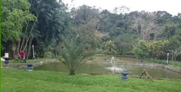 Imagem Sítio para Venda em Pedro de Toledo, Manoel da Nóbrega, 5 dormitórios, 2 suítes, 6 banheiros, 20 vagas