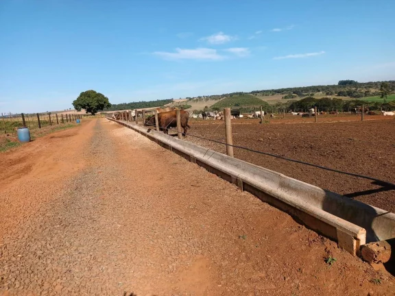 Imagem FAZENDA AVARÉ-SP