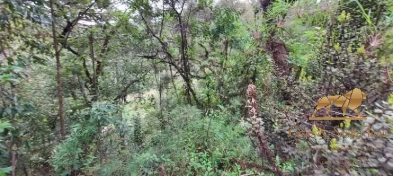 Imagem Terreno à venda, 5170 m² por R$ 350.000,00 - Descansópolis - Campos do Jordão/SP