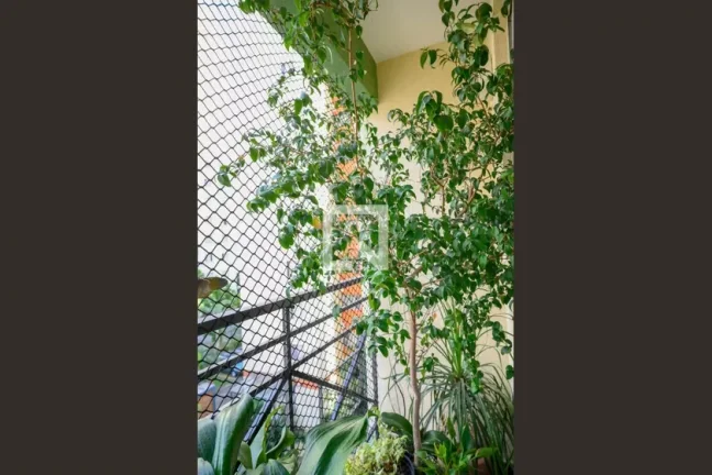 Imagem Apartamento à Venda - Aclimação, 3 Quartos, 67 m2
