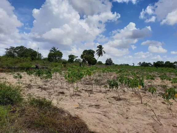 Imagem Granja para Venda em Macaíba, Centro, 2 dormitórios, 3 banheiros, 9 vagas