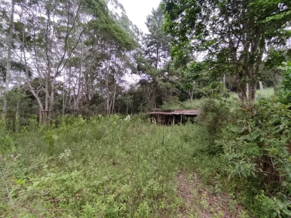 Imagem CHÁCARA RESIDENCIAL À VENDA, ESTÂNCIA PIRATININGA/PALMEIRAS, SUZANO