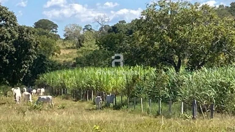 Imagem Rural / Fazenda na cidade de Poconé