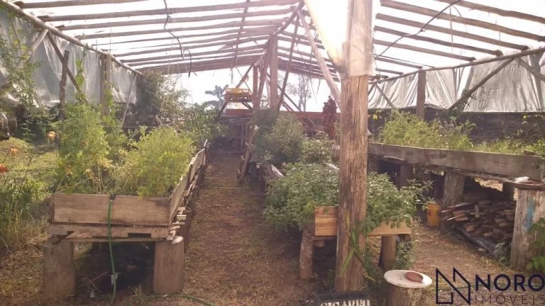 Imagem Casa no campo. Chácara para quem aprecia a natureza, mata nativa, riacho