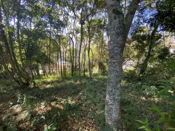 Imagem Terreno com 990 m2 no Bairro Boa Morte – Ideal para investimento ou grandes projetos