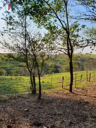 Imagem Sitio com 7 alqueires paulista Tatuí SP