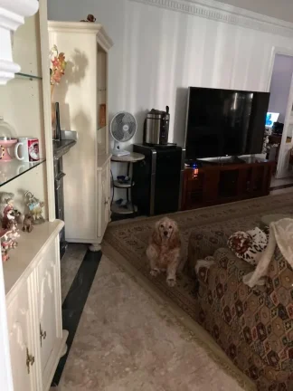 Imagem Apartamento 230 M², 3Q, 3 Suítes, 3 Banheiros, 4 Vagas, Sala espaçosa, Piscina, Academia, Quadra, Salão de festas, Lavabo, Próximo ao metrô.