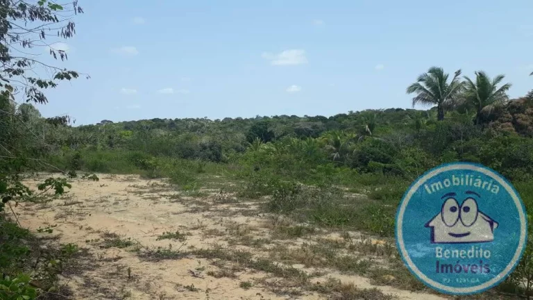 Imagem LOTES PARA VENDA TRANCOSO OPORTUNIDADE R$200.000,00