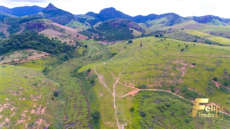 Imagem FAZENDA NO MUNICÍPIO DE LINHARES A 45 KM DE COLATINA.
