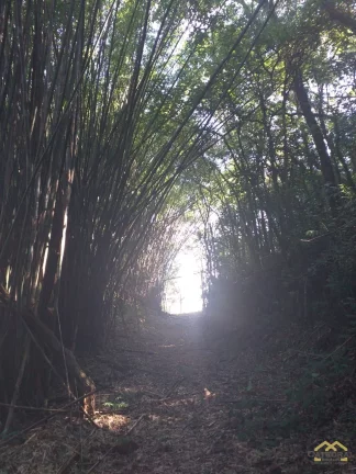 Imagem Terreno com 1.300² em condomínio fechado a Venda em Jarinu/SP