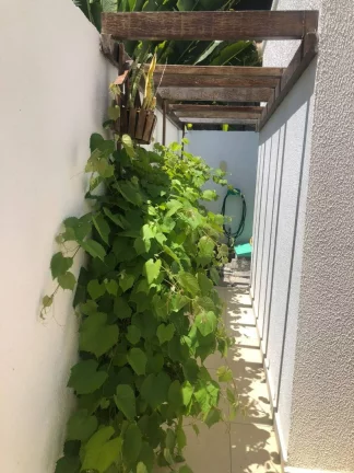 Imagem Casa à Venda no Condomínio Marta Ferreira - Espaço, Conforto e Lazer!