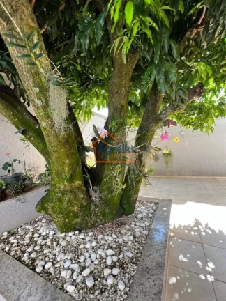 Imagem Casa à venda no bairro Jardim Novo I - Mogi Guaçu/SP