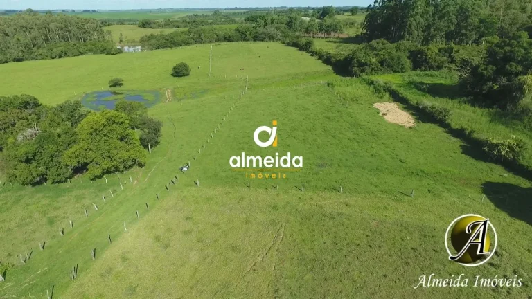Imagem Chácara com 6,2 ha