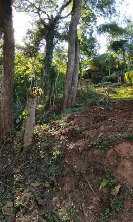 Imagem Terreno para Venda em Nova Friburgo, Amparo