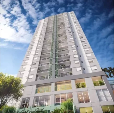 Wish Vaca Brava Oportunidade