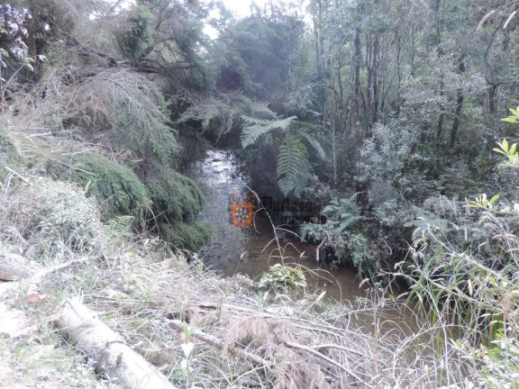 Imagem Sítio com 2 dormitórios à venda, 1000000 m² por R$ 28.000.000,00 - Dos Marmelos - Campos do Jordão/SP