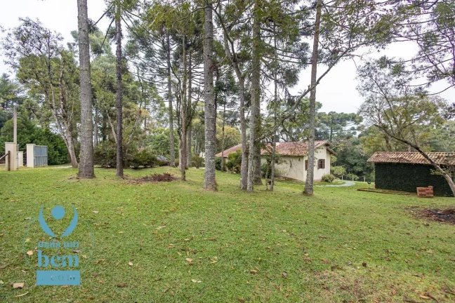 Imagem Belíssima Chácara com 3 dormitórios à venda, 6000 m² por R$ 1.400.000 - Salgadinho - Campo Largo/PR