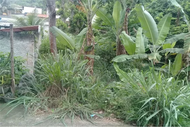 Imagem "Terreno 330,6 m² em Campo Grande para venda
