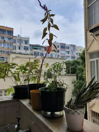 Imagem Copacabana – Rua Leopoldo Miguez | Residencial › Apartamento 3 quarto(s) à Venda