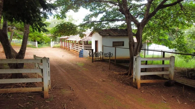 Imagem Fazenda para Venda em Cidade Ocidental, JARDIM ABC, 3 dormitórios, 1 suíte, 3 banheiros, 3 vagas