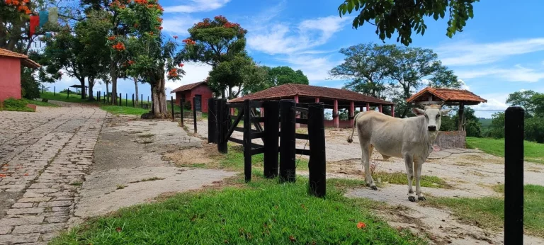 Imagem Fazenda região de Sorocaba SP