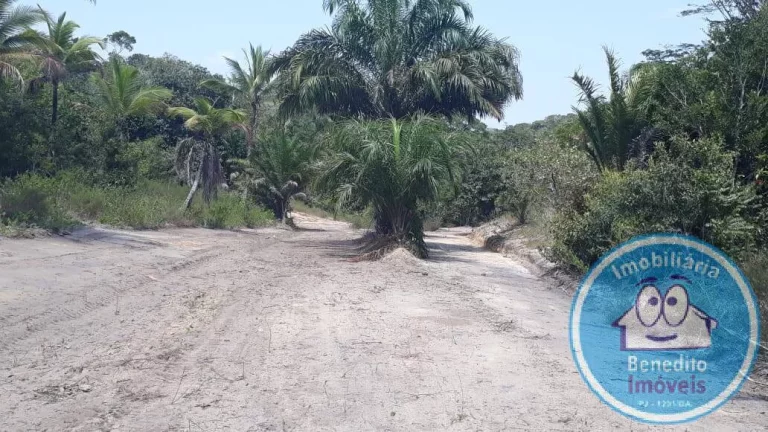 Imagem LOTES PARA VENDA TRANCOSO OPORTUNIDADE R$200.000,00
