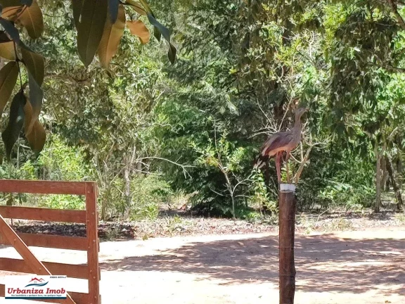 Imagem Chácara Santa Maria no Asfalto com 21.000 m2 em Campo Grande MS | Próximo ao Aeroporto Santa Maria com Casa Sede e Casa de Caseiro