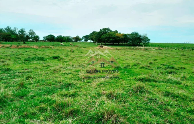 Imagem Chácara com 3 dormitórios à venda, 36000 m² por R$ 550.000,00 - Rio da Várzea - Cesário Lange/SP